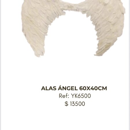 Alas Ángel 60x40cm